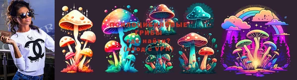 эйфоретик Алзамай